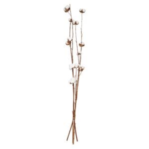 Atmosphera Natural Dried Flowers Brown